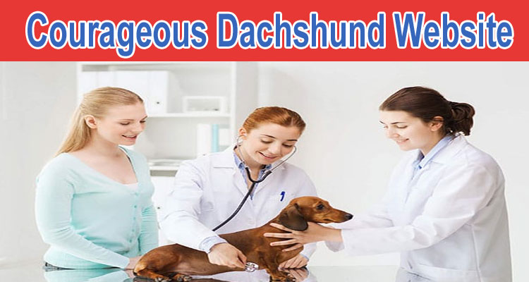 latest news Courageous Dachshund Website